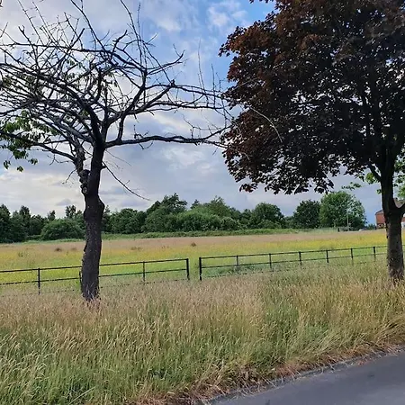 Cheerful 3 Bedroom House With Spacious Garden Casa de Férias Manchester