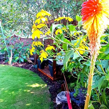 Movie Nights And Chill