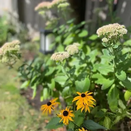 2 Bedroom House With Garden بيت للعطل مانشستر