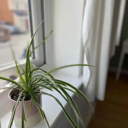 2 Bedroom House With Garden * マンチェスター