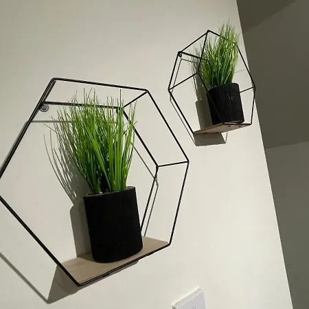 Deluxe In 20 Percent Off For Drake Concert Attendees!