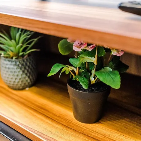 Apartment Cassia Unit: Extended In Salford