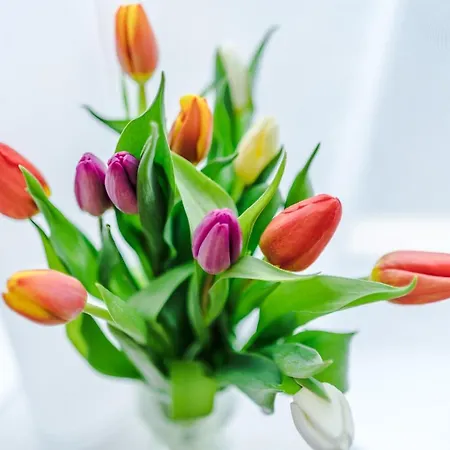 Half Mile To Etihad Stadium & Coop Arena, Free Parking, 6 Ppl Манчестер