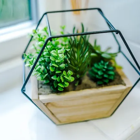 Дом отдыха Half Mile To Etihad Stadium & Coop Arena, Free Parking, 6 Ppl Манчестер