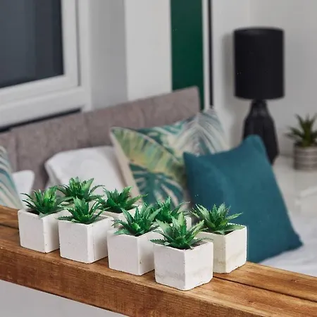 Cosy & Stylish Close To The Centre