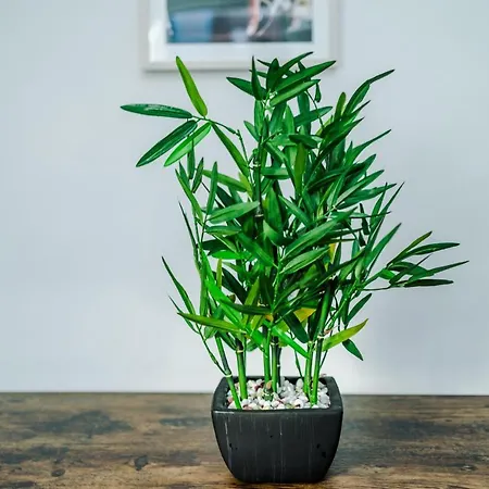 Spacious 4 Bed With Parking Σπίτι διακοπών Μάντσεστερ