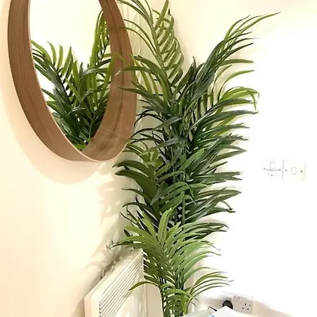 Fresh 2 Bedroom Flat Close To Center Camp Street *