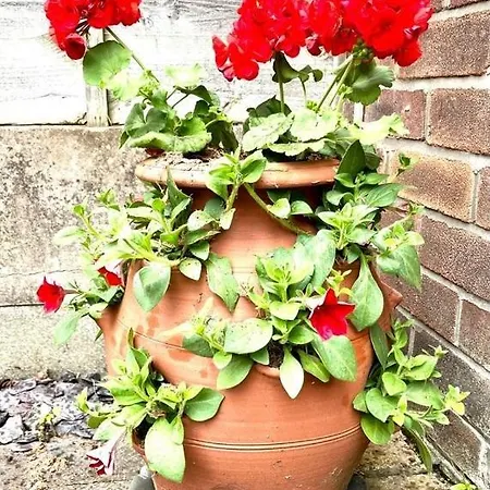 Spacious 3 Bedroom House - Sleeps 5