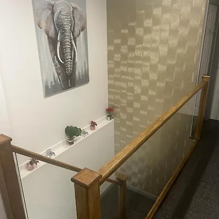 Hotel Rooms 4*