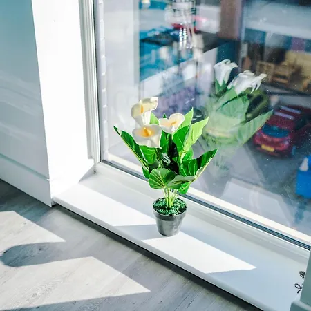 Spacious 3-bedroom In With Private Rooftop Terrace & Stunning Views Appartement