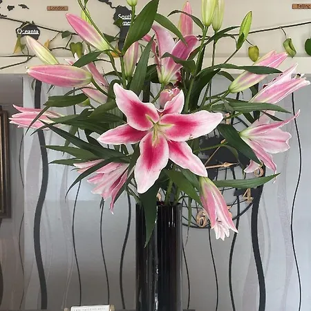 Park Crescent Manchester