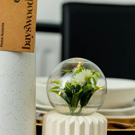 Dynasty - Alison Kelly Close Μάντσεστερ