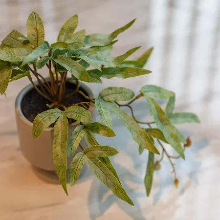 Marsh Lux 2 Διαμέρισμα