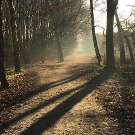 Apartamento Chorlton Stylish & Roof Terrace Manchester