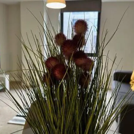 Fab 1 Bed In Sleeps 2 Manchester