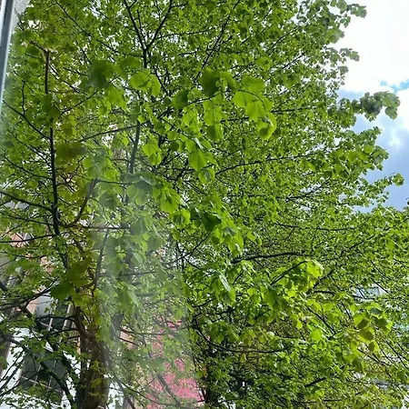 Centre 1 曼彻斯特