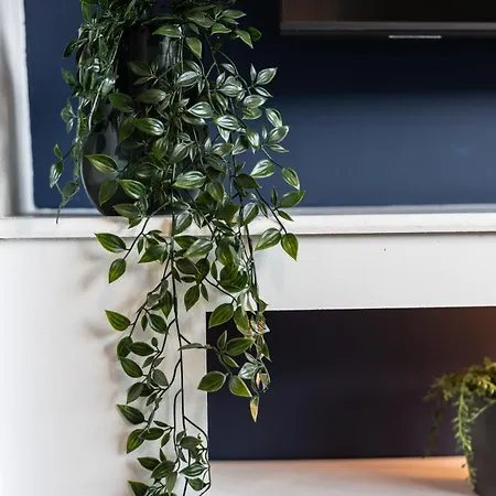 度假居 The Heart - Cosy 3 Bedroom House With Double Driveway And Garden In *