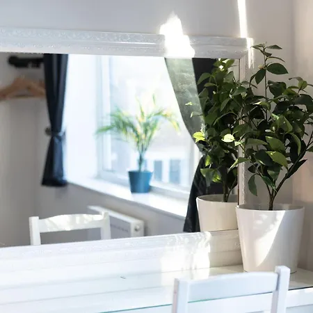 The Heart - Cosy 3 Bedroom House With Double Driveway And Garden In