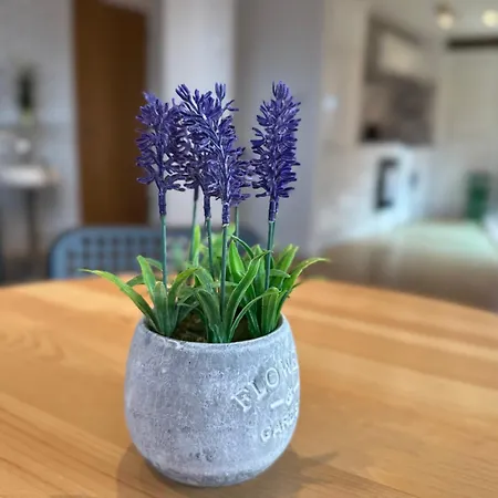 The Works - Two Bed Penthouse *