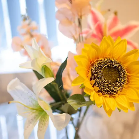 Lejlighed Msrsh Lux 5 Manchester