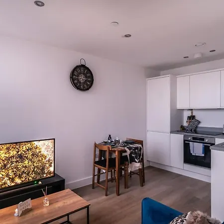 Zeni, Alexandra Rise Fab *