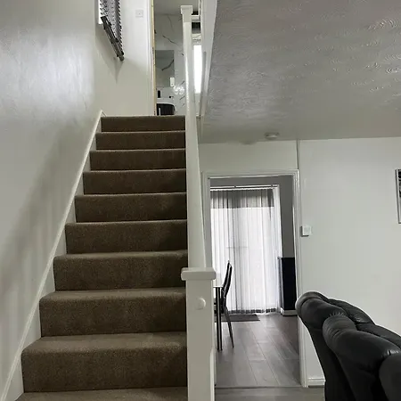 Dynasty - Alison Kelly Close *