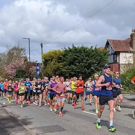 Bee Hive * Манчестер