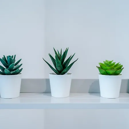 The Retreat Near Salford Quays *