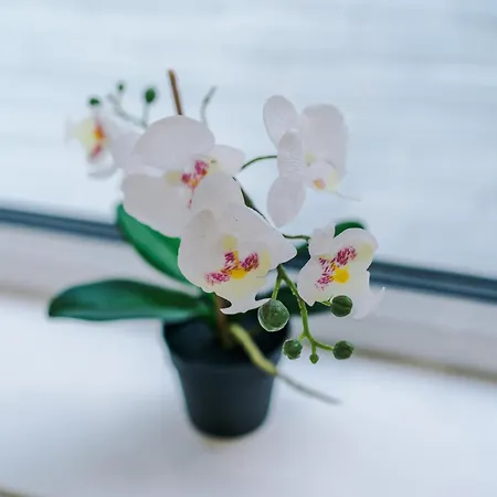 4 Bedroom Victorian House