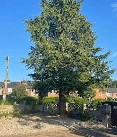 Cheerful 3 Bed Entire House, Newly Refurbished *