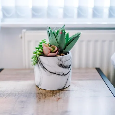 Sleek And Stylish 3 Bedroom *