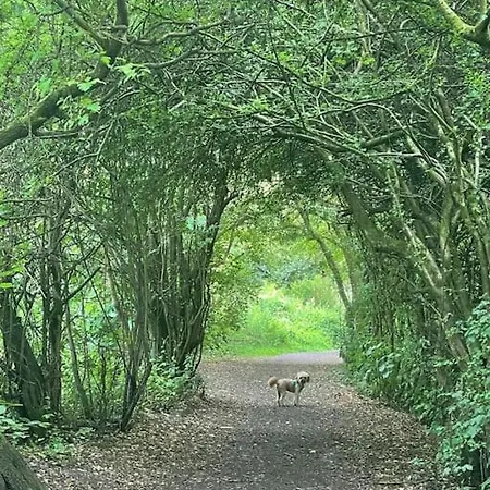 Private Access To 70-acre Park! * Manchester