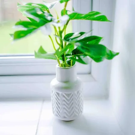 Spacious 4-bed Casa de Férias