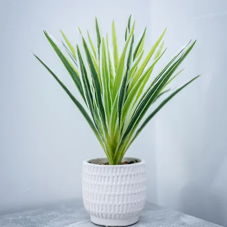 Apartamento 1 Bedroom In Chorlton Mánchester