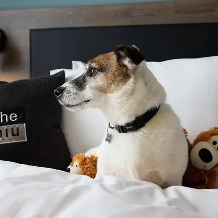 - The Niu, Loom North By Ihg ホテル