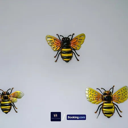 Апартаменты Old 516 Listing *