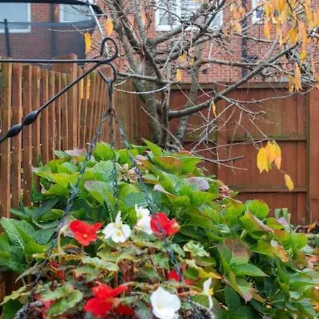 Vakantiehuis Coop Arena Luxurious Townhouse *