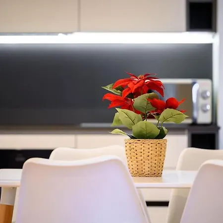 Haven Chique Modern Manchester