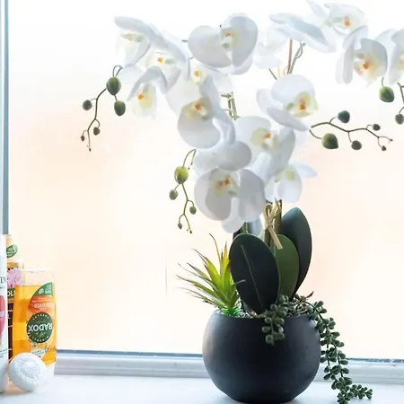 Richmond Retreat - Luxurious And Comfortable Spacious 2 Floor Lejlighed *