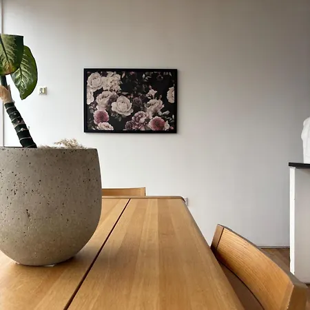 Centre Rooftop With Free Secure Parking Apartment