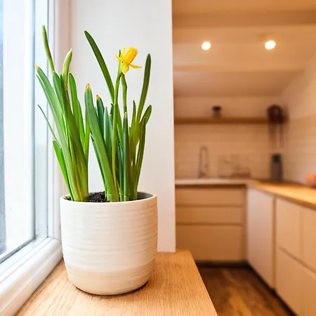 Relaxing With Basement Workspace & Golf Course View * Manchester