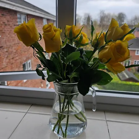 Apartamento Alexandra Park