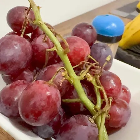 Cozy 5-bed Caldecott Stays-sleep 6 Dom wakacyjny