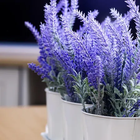 Great 2bed In Salford Quays With Water View Apartament