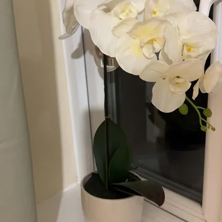 Appartement Legacy's