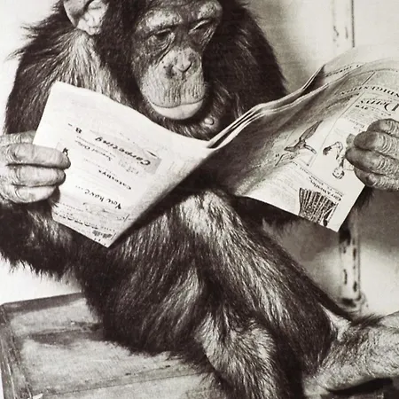 2bed 2bath Nr Old Trafford Parking