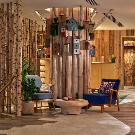 Treehouse 맨체스터