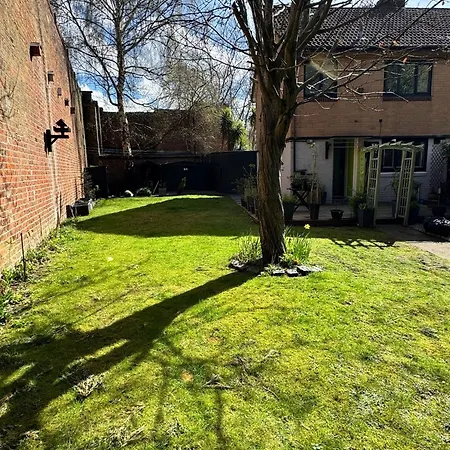 Three Bedroom House In
