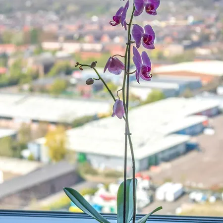 Luxury Media Salford Apartment