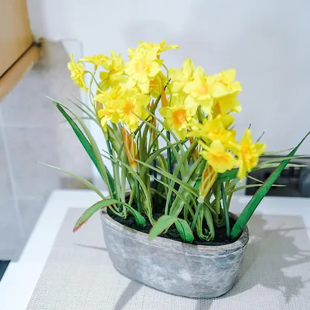 Stunning In Salford With Free Parking, Office, Pool & Ping Pong Table Casa vacanze